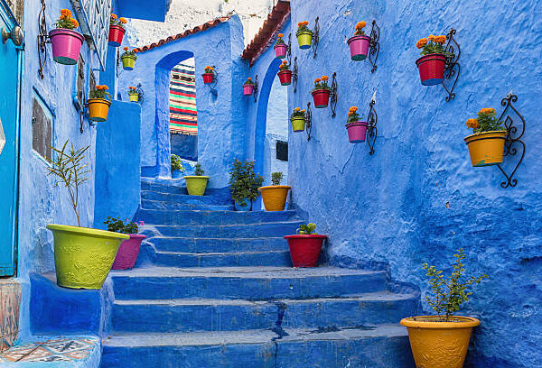 1 Full Private Day Trip to Chefchaouen from Fes