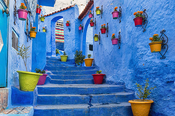 1 Full Private Day Trip to Chefchaouen from Fes